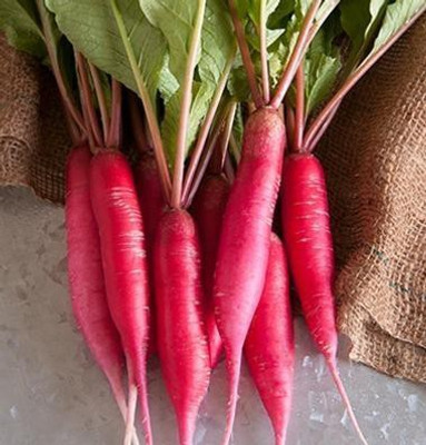 Mozette Red Radish Vegetable Seed(42 per packet)