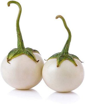 KNESSiN Brinjal White Small/Eggplant Organic Fresh Vegetable (400 Seeds) Seed(400 per packet)
