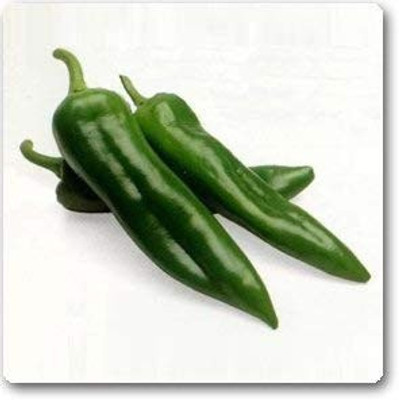 XOLDA Chilli Vasudha Seed(30 per packet)