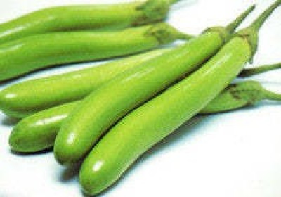 Mozette Brinjal green long Seed(51 per packet)