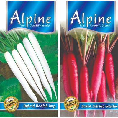 ALPINE HYBRID SEEDS HYBRID RED LONG RADISH, HYBRID LONG WHITE RADISH Seed(50 per packet)