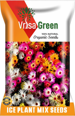 Vrisa Green ICE PLANT MIX Seed(100 per packet)