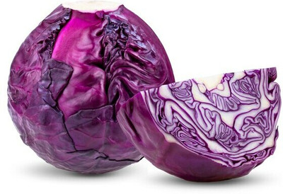 XOLDA Hybrid Cabbage Red Seed(60 per packet)