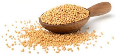 kotaliya Yellow Mustard Seeds, Peeli Sarson Seed(10 per packet)