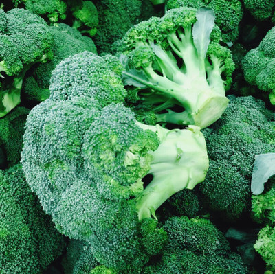Cloud Farm Broccoli Vegetable Seeds Seed(220 per packet)