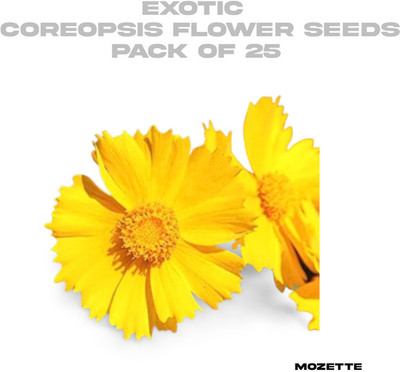 XOLDA Exotic coreopsis flower seeds Seed(25 per packet)