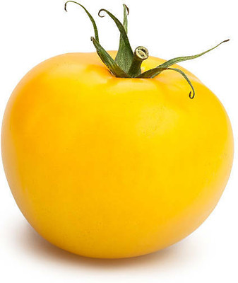 Mozette Hybrid Tomato Yellow Seed(65 per packet)
