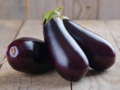 Khushi Prova Brinjal seeds f1 hybrid all seeds PACK OF 87 Seed(87 per packet)