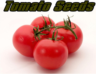 XOLDA Strawberry Seed Seed(25 per packet)