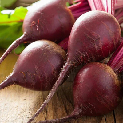 Cloud Farm beetroot F1 Hybrid Seeds For Home Gardening/beetroot Seed(38 per packet)