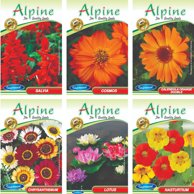 ALPINE HYBRID SEEDS SALVIA,COSMOS,CALENDULA ORANGE DOUBLE,CHRYSANTHEMUM, LOTUS, NASTURTIUM Seed(50 per packet)