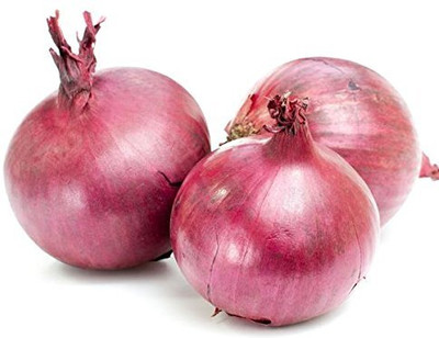 Qualtivate HYB-1A Kanda, Red Onion Seed Seed(500 per packet)