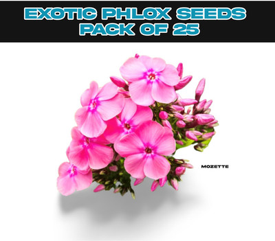 XOLDA Exotic philox seeds Seed(25 per packet)