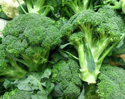the green dotcom brokali seeds for planting Seed(20 per packet)
