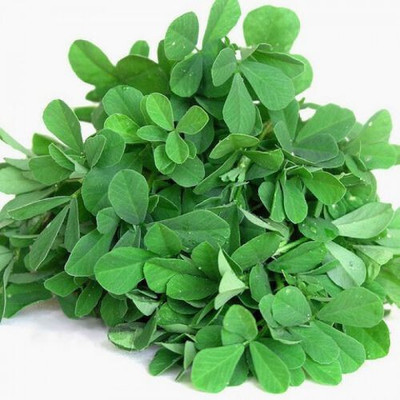 Cloud Farm Methi Dana/Fenugreek Seeds/Vendhayam Seeds For Planting Seed(400 per packet)