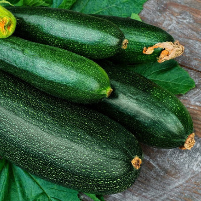 the green dotcom Squash Seed(105 per packet)