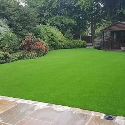 Pbevergreen Lawn grass seeds for garden/Carpet grass seeds Seed(10000 per packet)