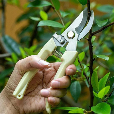 DeoDap Garden pruning shears Cutter For Home Garden | Flower Branch Sharp Cutter | Garden Pruning Shears Bypass Pruner(Manual)
