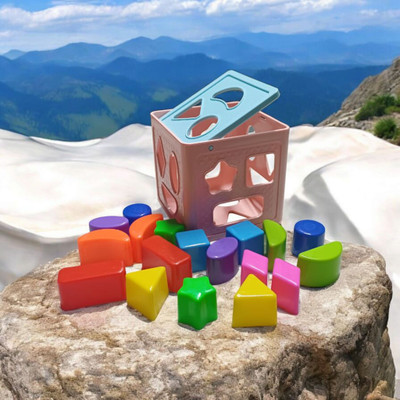 Dorytoys Shape Classifying Activity Toy(1 Pieces)