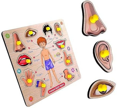 Shreevi Learning Toys Human Body Parts Name Chart Puzzle Board With Picture(Multicolor)