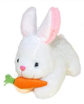 Anusuiya & co Lovable & cute rabbit with carrot for kids and adults  - 25 cm(White)
