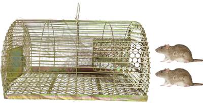 PVX1 chuha pakadne wala pinjra,chuha pakadne wala,chuha pakadne ka pinjra,chuha dani, Live Trap