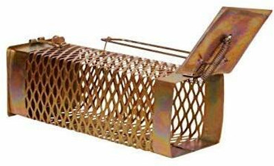 JSML Rat Mouse trap Iron Cage Trap Set Of 1 (Small) Snap Trap