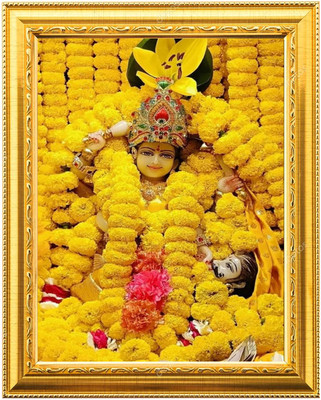 Sarvasiddhanta Arts baglamukhi mata Photo Frame Laminated (6 x8 inches) Religious Frame