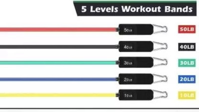 ALORNOR (11pcs) Power resistance band 11 Pcs Set for Beginner to Experts (Multicolor) Resistance Tube(Multicolor)