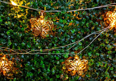 Meneon 16 LEDs 4 m Yellow Steady Butterfly Rice Lights(Pack of 1)