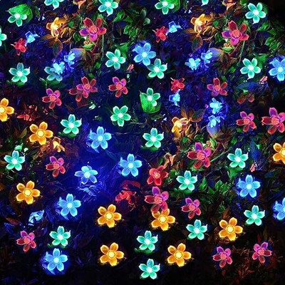 2 m Multicolor Rice Lights(Pack of 1)