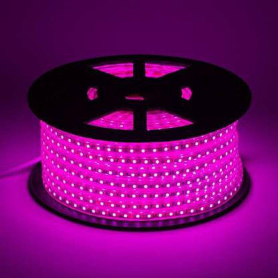 Eware 2400 LEDs 19.94 m Pink Steady String Rice Lights(Pack of 1)