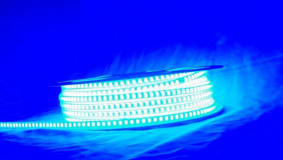 BMP 1200 LEDs 10 m Blue Steady Strip Rice Lights(Pack of 1)