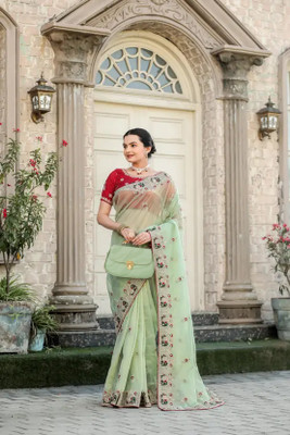 RamKrupa Creation Embroidered Bollywood Net Saree(Light Green)