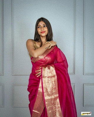 Rohit Designer Self Design Bollywood Net Saree(Pink)