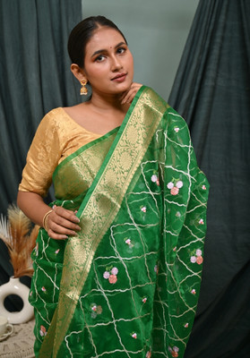 Divastri Embroidered Banarasi Organza Saree(Green)