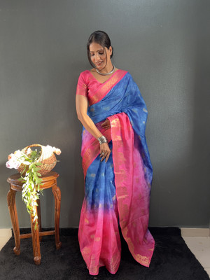 Aika Digital Print Banarasi Pure Silk Saree(Light Blue)