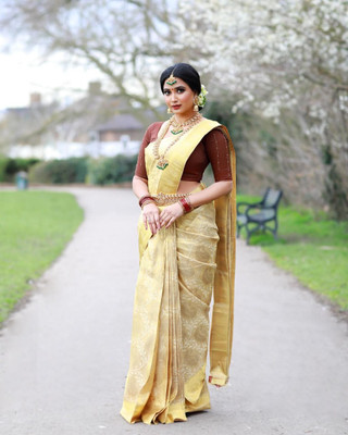 MM VENTURE Self Design Kanjivaram Art Silk Saree(Beige)
