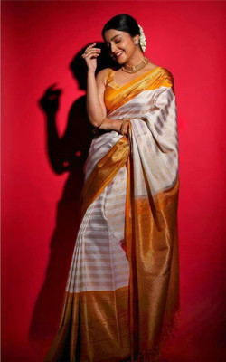 Begum Collection Self Design Kanjivaram Art Silk Saree(Multicolor)