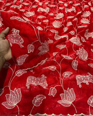 Ruhabs Embroidered Bollywood Jimmy choo Saree(Red)