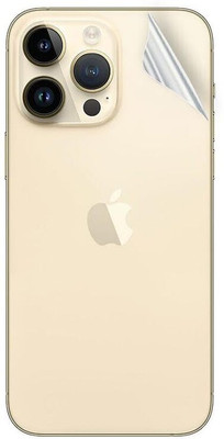 Bodoma Back Screen Guard for Apple iPhone 12 Pro(Pack of 1)