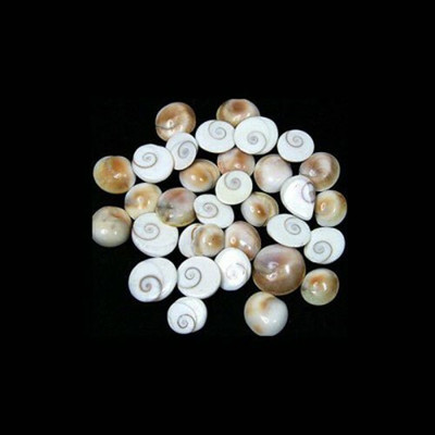 SBBCO Very Small Size Natural Gomti Chakra 5 Pieces GC05b Decorative Showpiece  -  2.21 cm(Stone, White)