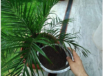 VIKASXPRESS. ORGANIC VERMI Potting Mixture(5 kg, Granules)