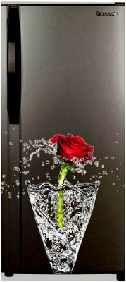 Archi Graphics Studio 160 cm Fridge Sticker Self Adhesive Sticker(Pack of 1)