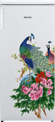 Divine Printry 78 cm Size, Beautiful Peacock Design Fridge Self Adhesive Sticker(Pack of 1)