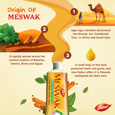 Dabur Meswak Oral Care 100gr Toothpaste Toothpaste(100 g)