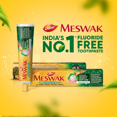 Dabur Meswak Oral Care Toothpaste 100g Toothpaste(100 g)