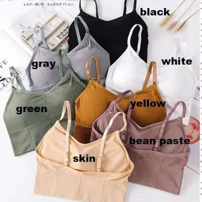 Beach Wear Solid Women Multicolor Top