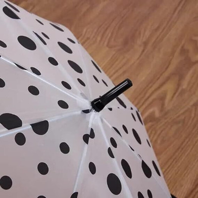 MG Tranding Transparent Polka Dot Umbrella For Travelling Purpose Portable Umbrella Umbrella(Multicolor)