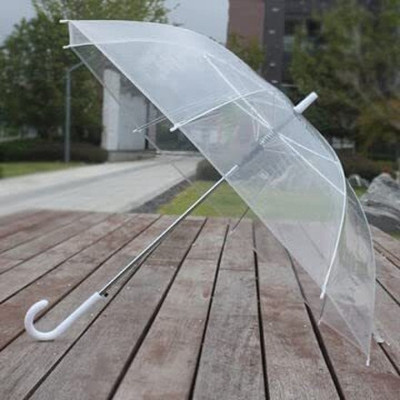 Raga Plus TRANSPARENT UMBRELLA FOR EVENT|RAIN AND DAILY USES [transparenty.pack of -1] Umbrella(Transparent)